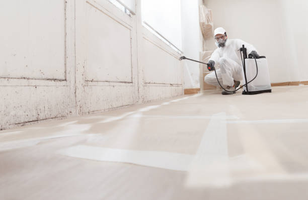 24/7 Emergency Mold Removal experts in Allendale, NJ